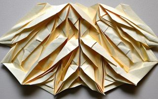 А.С.С. Диагност Авто