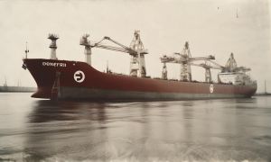 Dongfeng ТрансТехСервис
